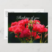 Carte Postale Roses roses profondes, "Penser à toi" (Devant / Derrière)