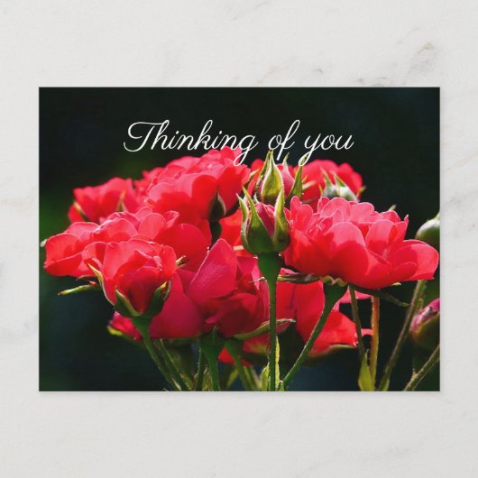 Carte Postale Roses roses profondes, "Penser à toi" (Devant)