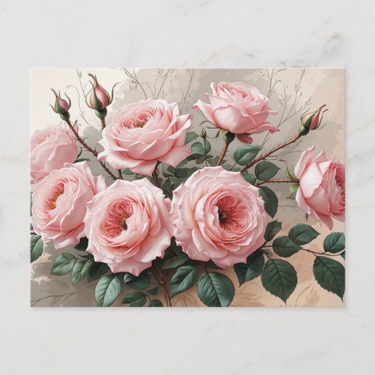Carte Postale Roses roses roses (Devant)