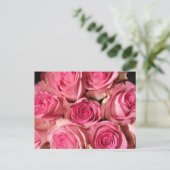 Carte Postale Roses roses roses (Debout devant)