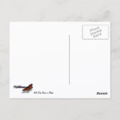 Carte Postale Roses roses sauvages en Alaska (Dos)