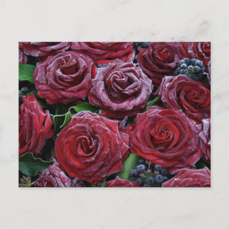 Carte Postale Roses Rouge Foncé Froides Sur Une Grave