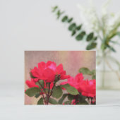 Carte Postale Roses rouges (Debout devant)