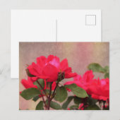 Carte Postale Roses rouges (Devant / Derrière)