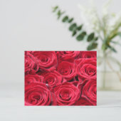 Carte Postale Roses rouges (Debout devant)