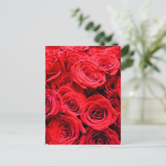 Carte Postale Roses rouges (Debout devant)