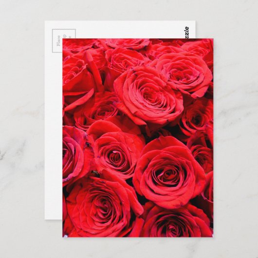 Carte Postale Roses rouges (Devant / Derrière)