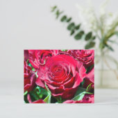 Carte postale Roses rouges (Debout devant)