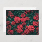 Carte Postale Roses rouges (Devant / Derrière)