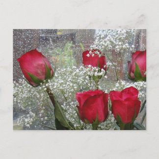 Carte Postale Roses rouges