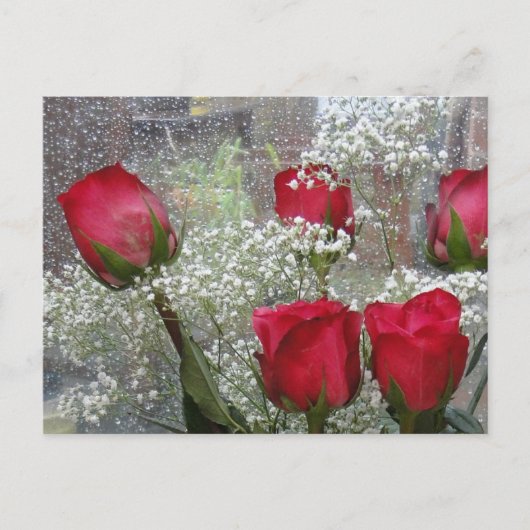 Carte Postale Roses rouges (Devant)