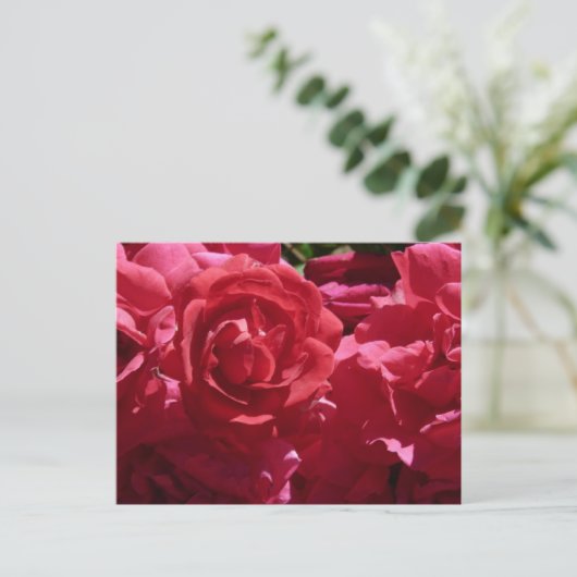 Carte Postale Roses rouges (Debout devant)