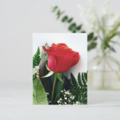 Carte Postale Roses rouges (Debout devant)