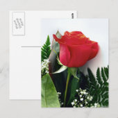 Carte Postale Roses rouges (Devant / Derrière)