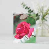 Carte Postale Roses rouges (Debout devant)