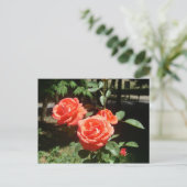 Carte postale Roses rouges (Debout devant)