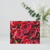 Carte Postale Roses rouges (Debout devant)
