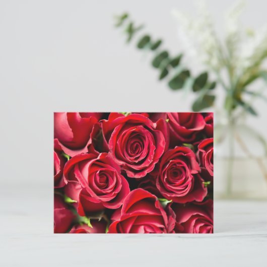 Carte Postale Roses rouges (Debout devant)