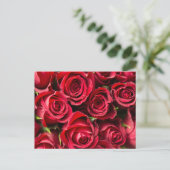 Carte Postale Roses rouges (Debout devant)