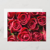 Carte Postale Roses rouges (Devant / Derrière)