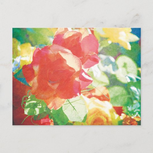 Carte Postale roses rouges (Devant)