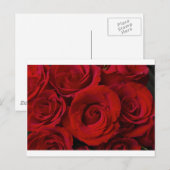Carte Postale Roses rouges et gouttes d'eau (Devant / Derrière)