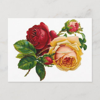 Carte Postale Roses rouges et jaunes