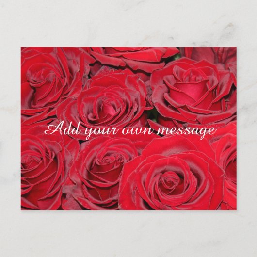 Carte Postale Roses rouges vibrantes (Devant)