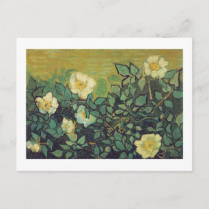 Carte Postale Roses sauvages, 1890. Vincent van Gogh.