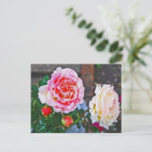 Carte Postale Roses sous la pluie (Debout devant)