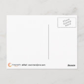 Carte Postale Roses sous la pluie (Dos)