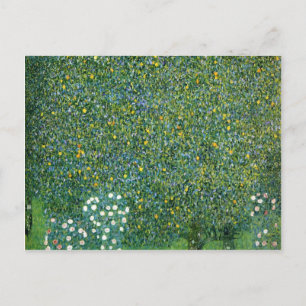 Carte Postale Roses sous les arbres mignons