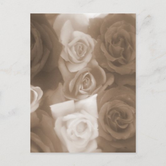 Carte Postale roses vintage (Devant)