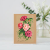 Carte Postale Roses Vintages florales roses (Debout devant)