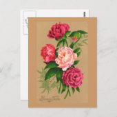 Carte Postale Roses Vintages florales roses (Devant / Derrière)