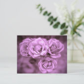 Carte Postale Roses Vintages violets (Debout devant)