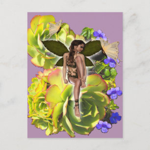 Carte Postale Rosette Succulent visiteurs