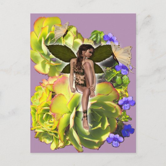 Carte Postale Rosette Succulent visiteurs (Devant)