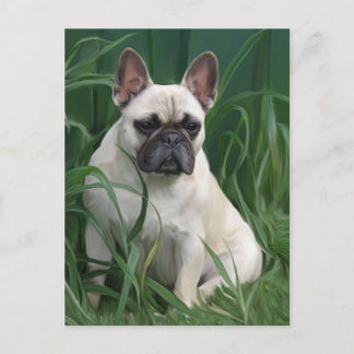 Carte Postale Rosey dans l'herbe