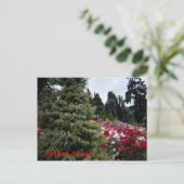 Carte Postale Rosey Landscape Portland, Oregon (Debout devant)
