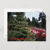 Carte Postale Rosey Landscape Portland, Oregon (Devant / Derrière)
