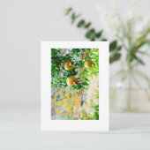 Carte Postale Rosh Hashanah, G’Mar Chatima Tova, Yom Kippour 578 (Debout devant)