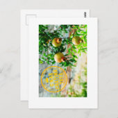 Carte Postale Rosh Hashanah, G’Mar Chatima Tova, Yom Kippour 578 (Devant / Derrière)