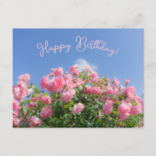 Carte Postale Rosier rose sous ciel bleu, personnalisé  (Devant)