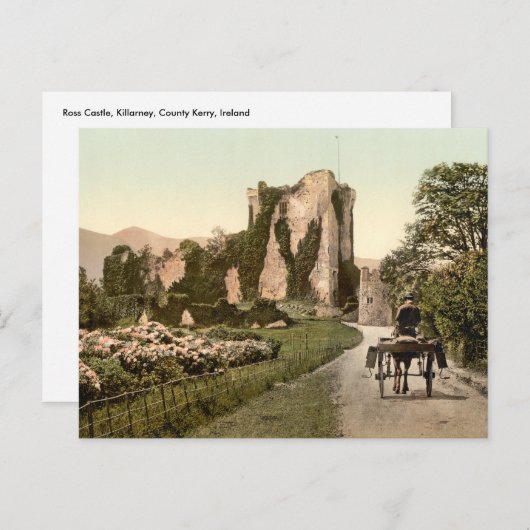 Carte Postale Ross Castle II, Killarney, comté de Kerry (Devant / Derrière)