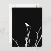 Carte Postale Rossignol de Nuit (Devant / Derrière)