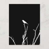 Carte Postale Rossignol de Nuit (Devant)