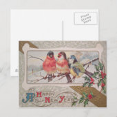 Carte Postale Rossignol Holly Snow (Devant / Derrière)