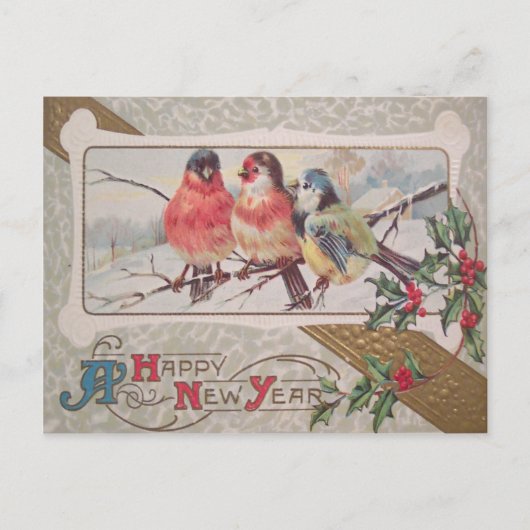 Carte Postale Rossignol Holly Snow (Devant)
