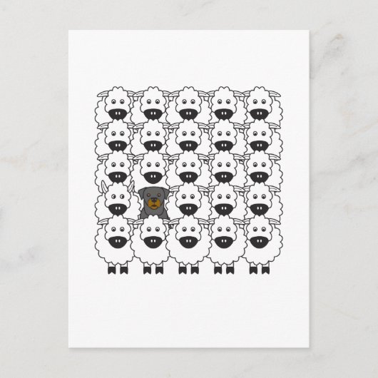 Carte Postale Rotation dans le mouton (Devant)